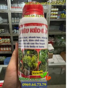 NPV 13B+ SIÊU KÉO ĐỌT