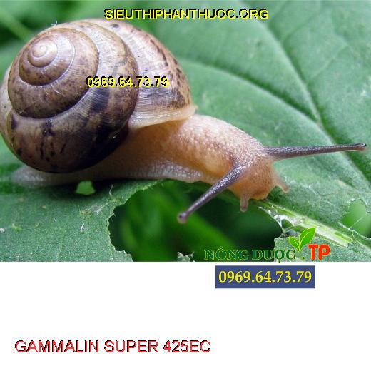 GAMMALIN SUPER 425EC