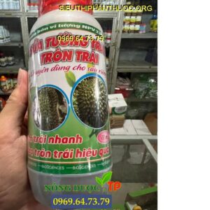 NPV 13B+ SỬA TƯỚNG TRÁI, TRÒN TRÁI- Chuyên DÙng Cho Sầu Riêng