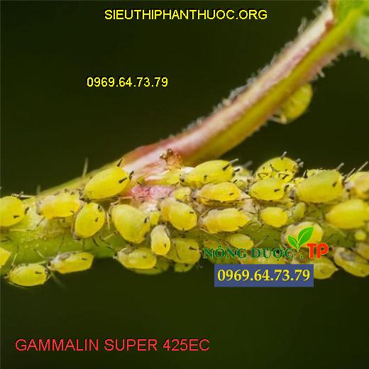 GAMMALIN SUPER 425EC