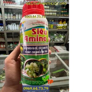 SIÊU AMINO- Kích Rễ, Cây Xanh Tốt, To, Mập, Nhiều Hoa Trái