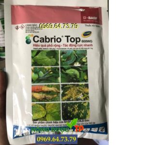 CABRIO-TOP 600WG - Đặc trị Suơng Mai, Mốc Suơng, Rỉ Sắt, Thán Thư, Ghẻ Sẹo