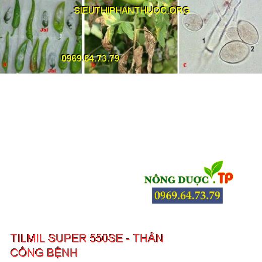 TILMIL SUPER 550SE - THÂN CÔNG BỆNH