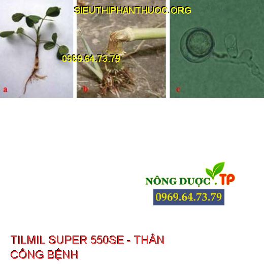 TILMIL SUPER 550SE - THÂN CÔNG BỆNH