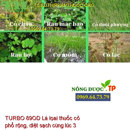 TURBO 89OD Là lọai thuốc cỏ phổ rộng, diệt sạch cùng lúc 3 nhóm cỏ trên ruộng lúa