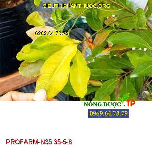 PROFARM-N35 35-5-8