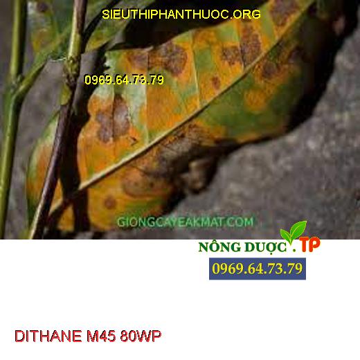 DITHANE M45 80WP