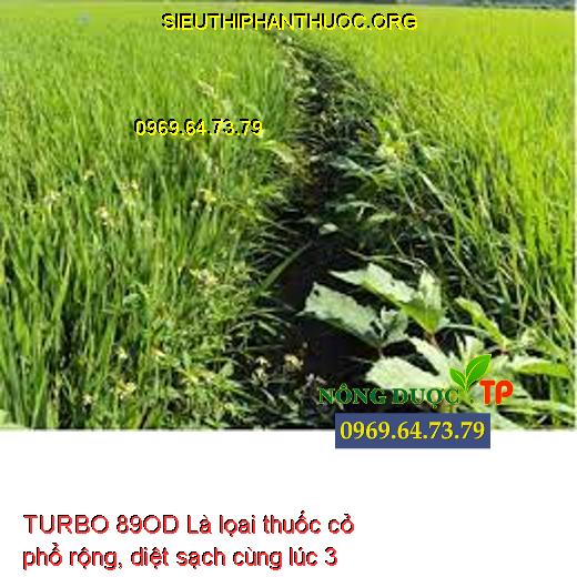 TURBO 89OD Là lọai thuốc cỏ phổ rộng, diệt sạch cùng lúc 3 nhóm cỏ trên ruộng lúa