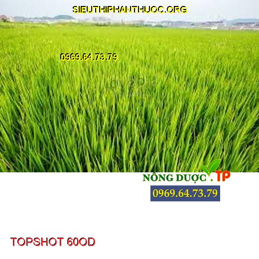 TOPSHOT 60OD