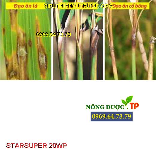 STARSUPER 20WP NẤM KHUẨN 
