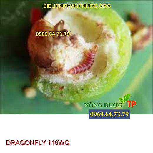 DRAGONFLY 116WG