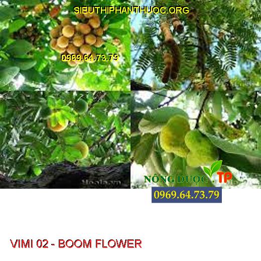 VIMI 02 - BOOM FLOWER