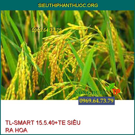 TL-SMART 15.5.40+TE SIÊU RA HOA