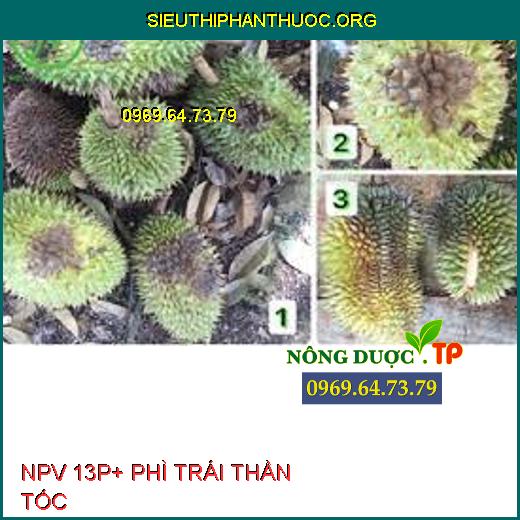 NPV 13P+ PHÌ TRÁI THẦN TỐC