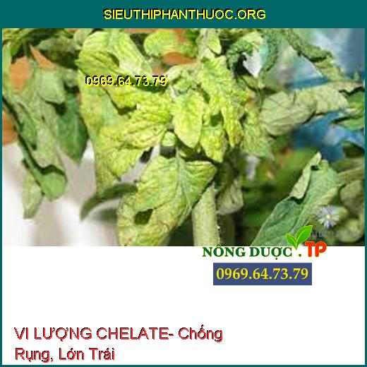 VI LƯỢNG CHELATE- Chống Rụng, Lớn Trái