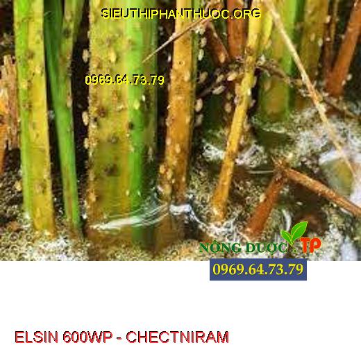 ELSIN 600WP - CHECTNIRAM