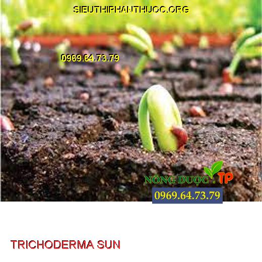 TRICHODERMA SUN