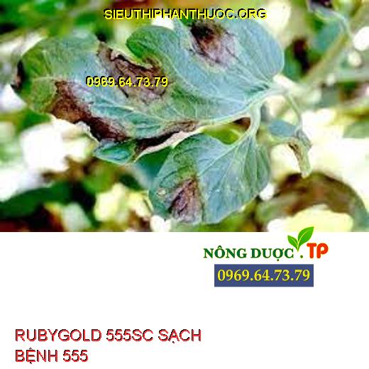 RUBYGOLD 555SC SẠCH BỆNH 555