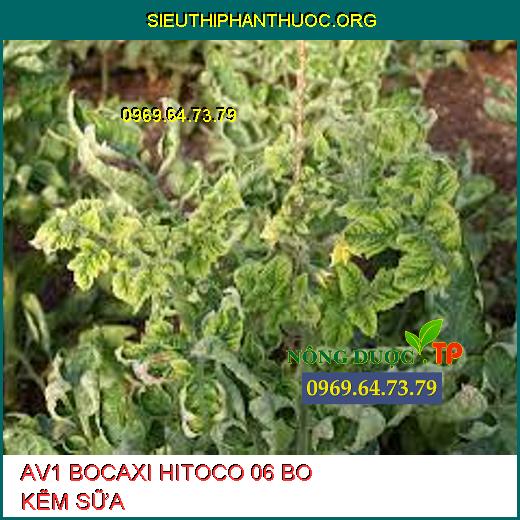 AV1 BOCAXI HITOCO 06 BO KẼM SỮA