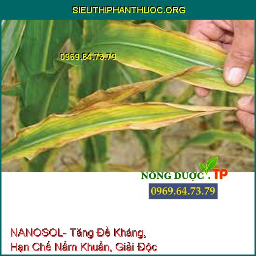 NANOSOL- Tăng Đề Kháng, Hạn Chế Nấm Khuẩn, Giải Độc