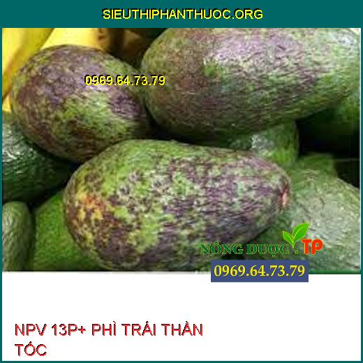 NPV 13P+ PHÌ TRÁI THẦN TỐC