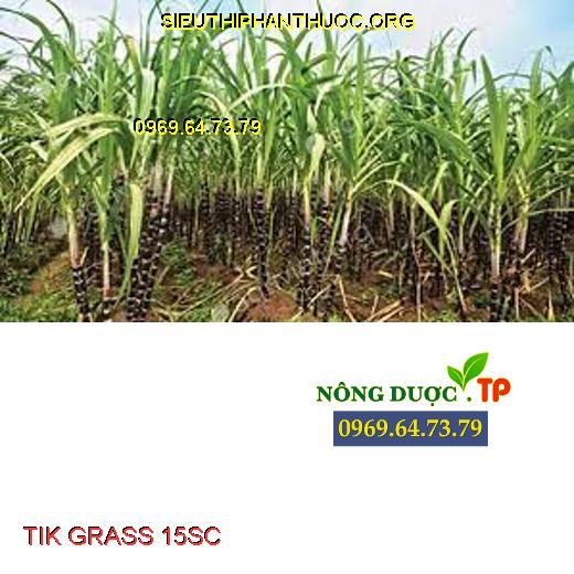 TIK GRASS 15SC