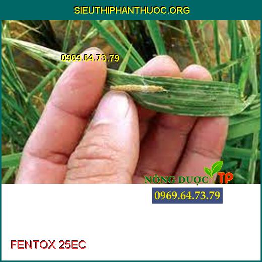 FENTOX 25EC