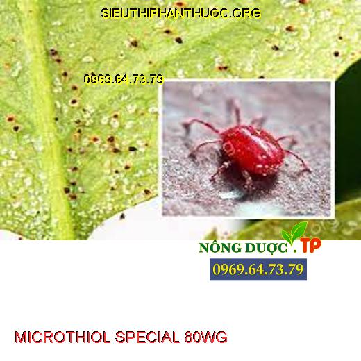 MICROTHIOL SPECIAL 80WG