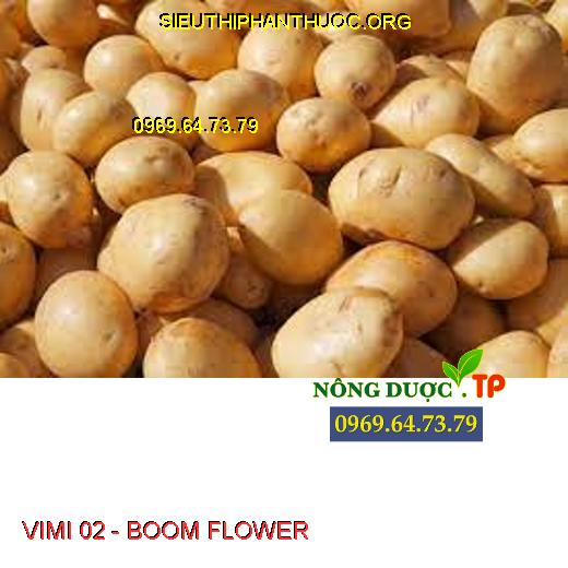 VIMI 02 - BOOM FLOWER