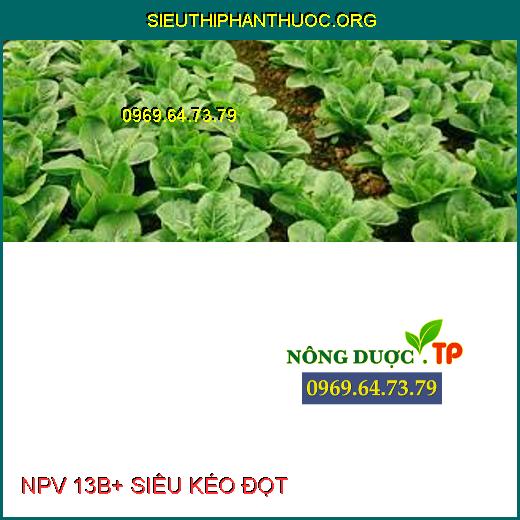 NPV 13B+ SIÊU KÉO ĐỌT