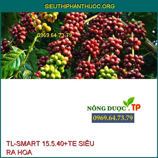 TL-SMART 15.5.40+TE SIÊU RA HOA