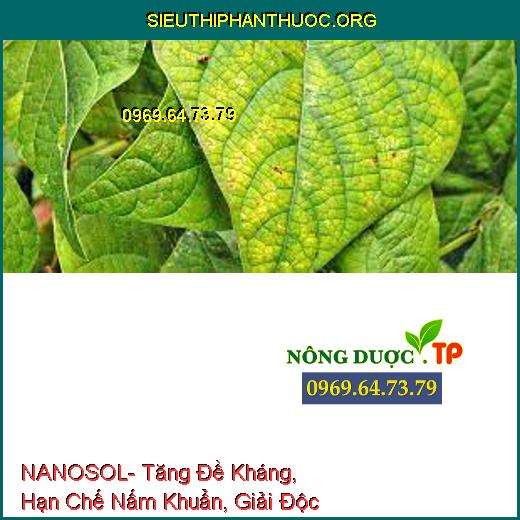 NANOSOL- Tăng Đề Kháng, Hạn Chế Nấm Khuẩn, Giải Độc