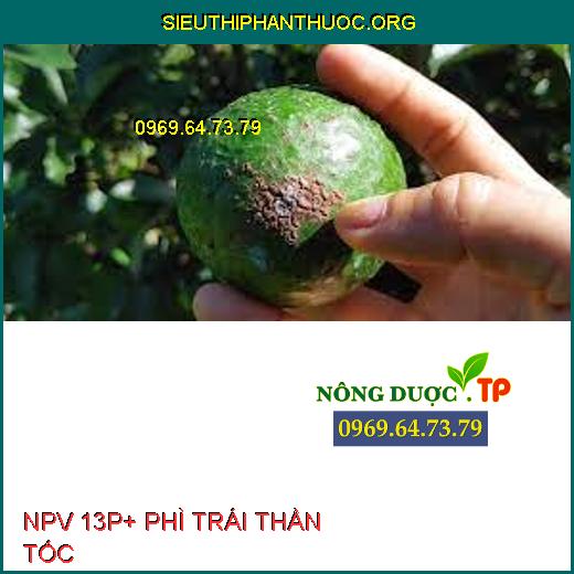 NPV 13P+ PHÌ TRÁI THẦN TỐC