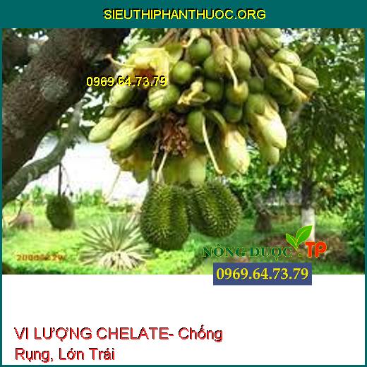 VI LƯỢNG CHELATE- Chống Rụng, Lớn Trái