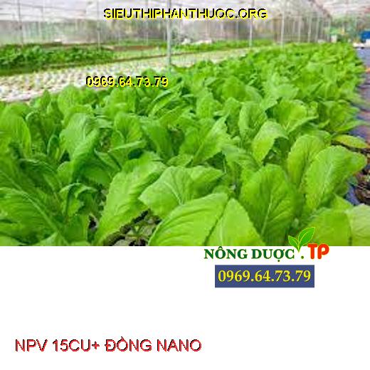 NPV 15CU+ ĐỒNG NANO