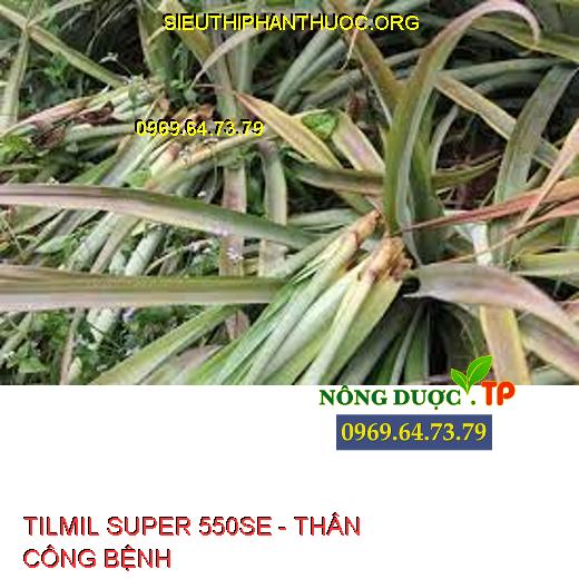 TILMIL SUPER 550SE - THÂN CÔNG BỆNH