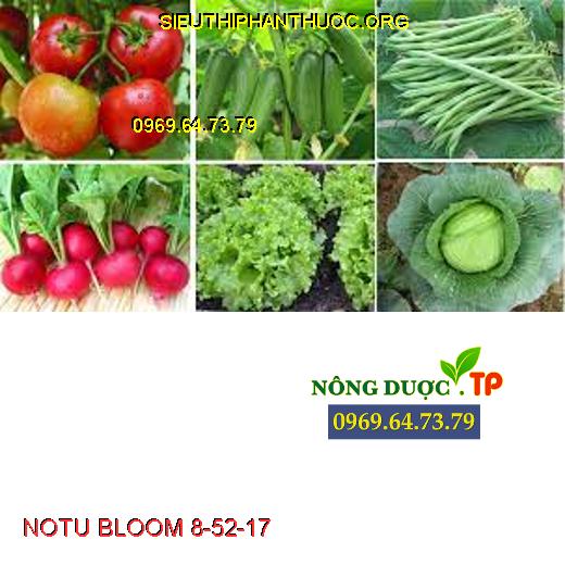 NOTU BLOOM 8-52-17