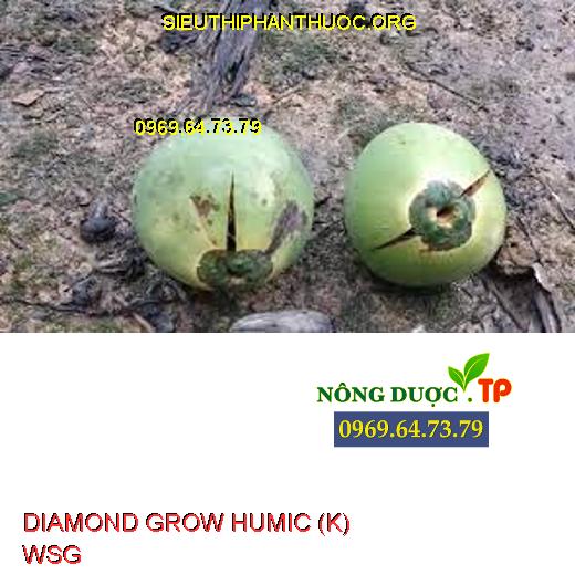DIAMOND GROW HUMIC (K) WSG
