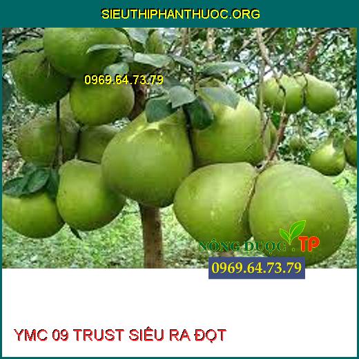 YMC 09 TRUST SIÊU RA ĐỌT