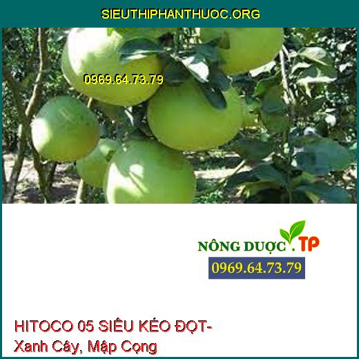 HITOCO 05 SIÊU KÉO ĐỌT- Xanh Cây, Mập Cọng