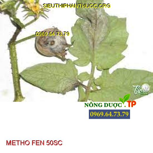 METHO FEN 50SC