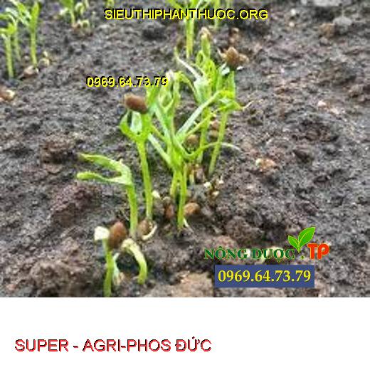SUPER - AGRI-PHOS ĐỨC