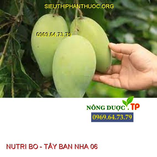 NUTRI BO - TÂY BAN NHA 06