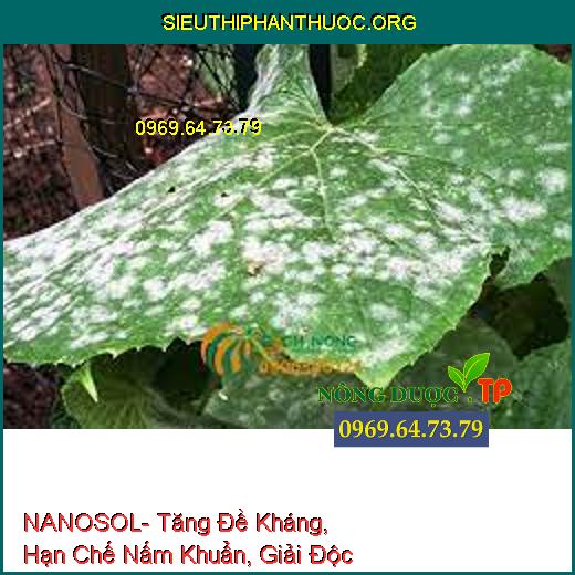 NANOSOL- Tăng Đề Kháng, Hạn Chế Nấm Khuẩn, Giải Độc