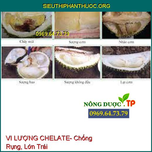 VI LƯỢNG CHELATE- Chống Rụng, Lớn Trái