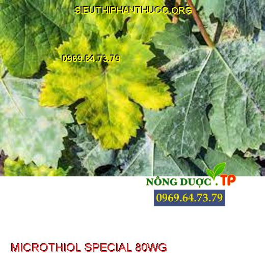 MICROTHIOL SPECIAL 80WG