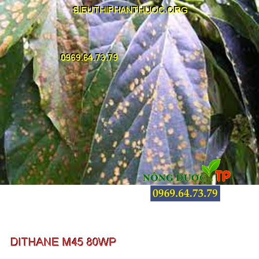 DITHANE M45 80WP