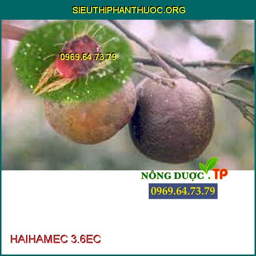  HAIHAMEC 3.6EC 