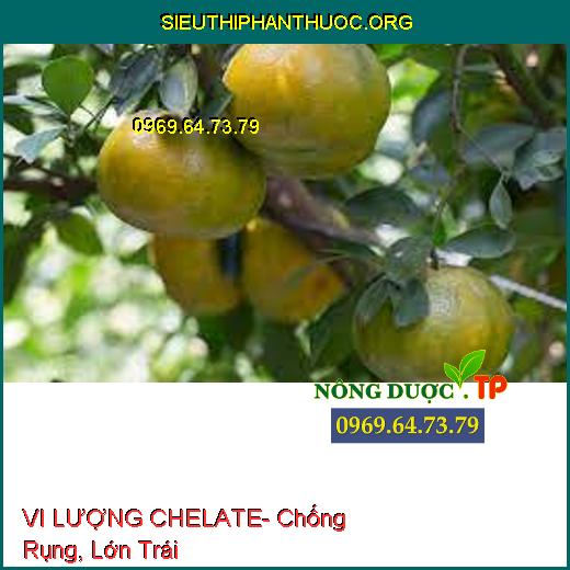 VI LƯỢNG CHELATE- Chống Rụng, Lớn Trái