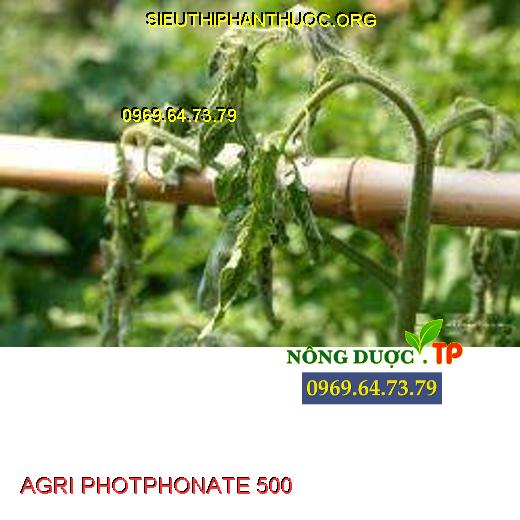 AGRI PHOTPHONATE 500